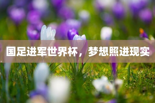 国足进军世界杯，梦想照进现实
