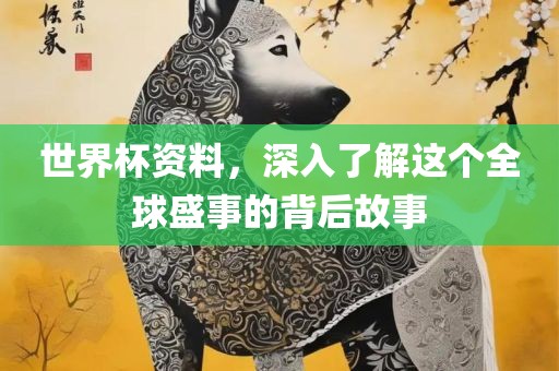 世界杯资料，深入了解这个全球盛事的背后故事广西贺州市华昌新材料有限公司