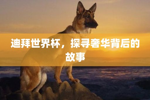 迪拜世界杯，探寻奢华背后的故事广西贺州市华昌新材料有限公司