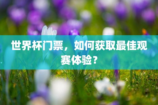 世界杯门票，如何获取最佳观赛体验？广西贺州市华昌新材料有限公司