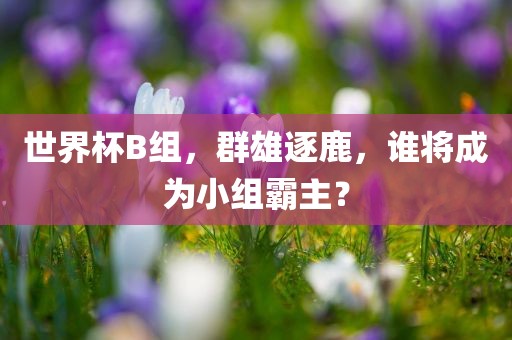 世界杯B组，群雄逐鹿，谁将成为小组霸主？广西贺州市华昌新材料有限公司