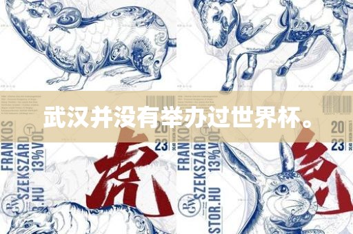 武汉并没有举办过世界杯广西贺州市华昌新材料有限公司。