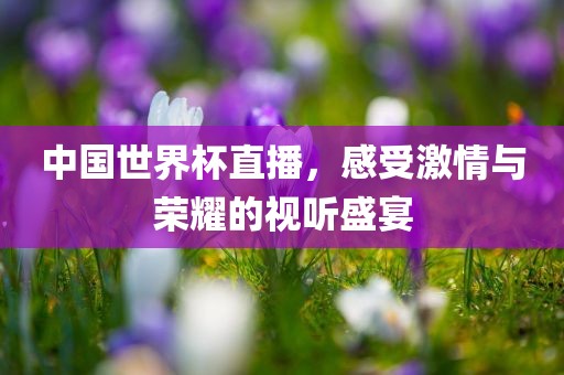 中国世界杯直播，感受激情与荣耀的视听盛宴广西贺州市华昌新材料有限公司