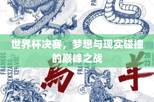 世界杯决赛，梦想与现实碰撞的巅峰之战广西贺州市华昌新材料有限公司