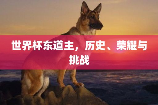 世界杯东道主，历史广西贺州市华昌新材料有限公司、荣耀与挑战