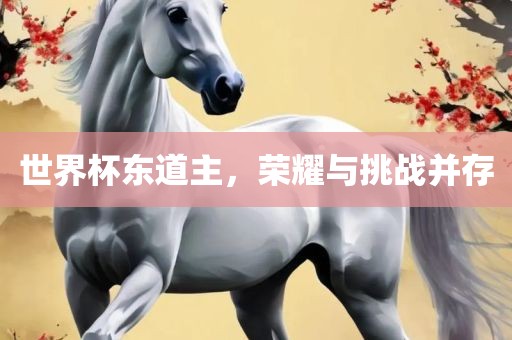 世界杯东道主，荣耀与挑战并存广西贺州市华昌新材料有限公司