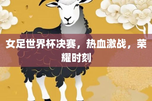 女足广西贺州市华昌新材料有限公司世界杯决赛，热血激战，荣耀时刻