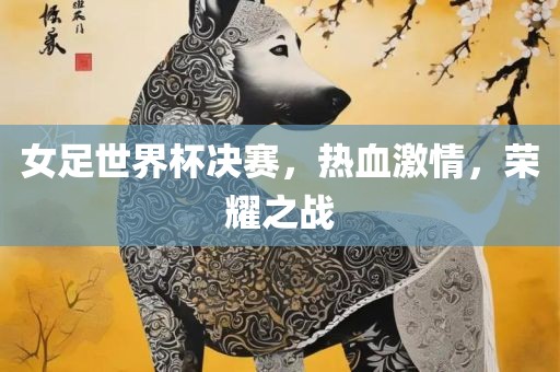 女足世界广西贺州市华昌新材料有限公司杯决赛，热血激情，荣耀之战
