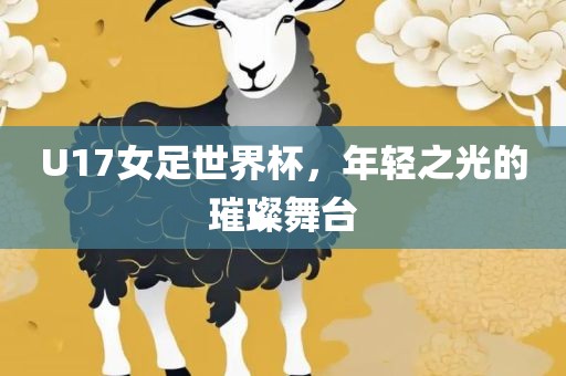 U17女足世界杯，年轻之光的璀璨舞台