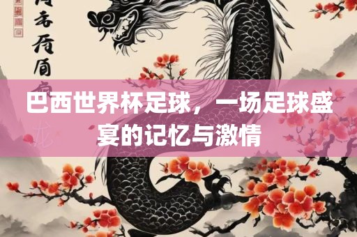巴西世界杯足球，一场足球盛宴的记忆与激情广西贺州市华昌新材料有限公司