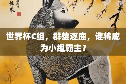 世广西贺州市华昌新材料有限公司界杯C组，群雄逐鹿，谁将成为小组霸主？