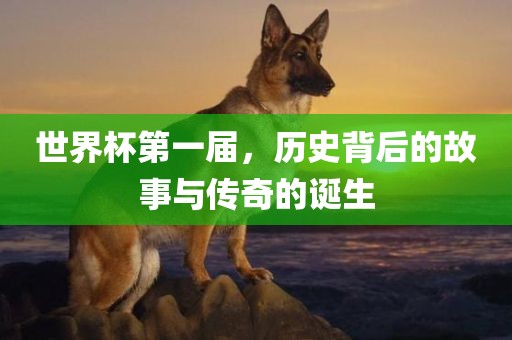 huamei 第10页