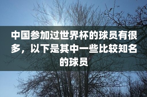 中国参加过世界杯的球员有很多，以下是其中一些比较知名的球员