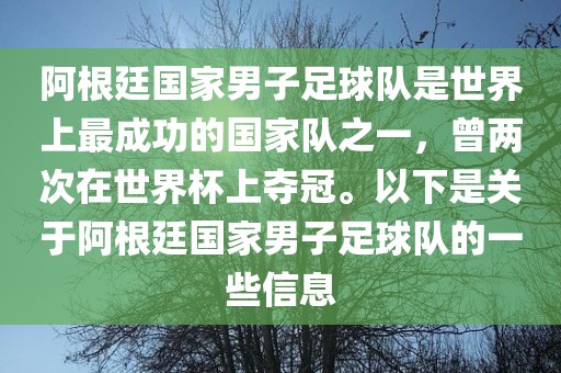 阿根廷国家男子足球队是世界上最成功的国家队之一，曾两次在世界杯上夺冠。以下是关于阿根廷国家男子足球队的一些信息广西贺州市华昌新材料有限公司