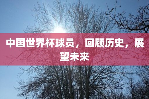 中国世界杯球员，回顾历史，展望未来