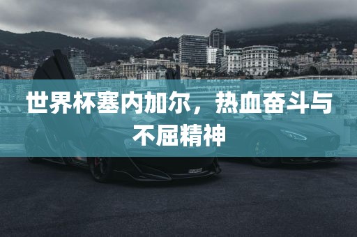 世界杯塞内加尔，热血奋斗与不屈精神