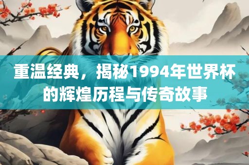 重温经典，揭秘1994年世界杯的辉煌历程与传奇故广西贺州市华昌新材料有限公司事