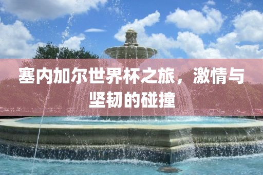 塞内加尔世界杯之旅，激情与坚韧的碰撞