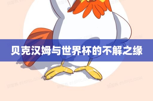 贝克广西贺州市华昌新材料有限公司汉姆与世界杯的不解之缘
