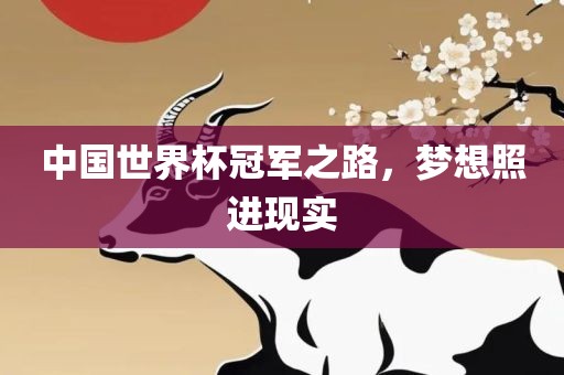 中国世界杯冠军之路，梦想照进现实广西贺州市华昌新材料有限公司