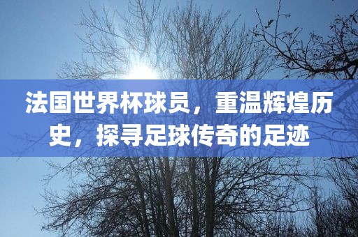 法国世界杯球员，重温辉煌历史，探寻足球传奇的足迹广西贺州市华昌新材料有限公司