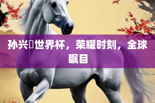 孙兴慜世界杯，荣耀时刻，全球瞩目广西贺州市华昌新材料有限公司