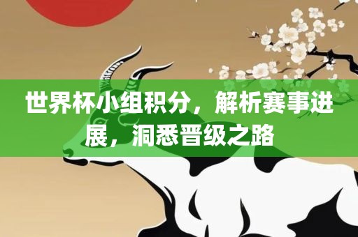 世界杯小组积分，解析赛事进展，洞悉晋级之路