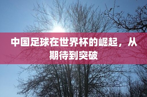 中国足球在世界杯的崛起，从期待到突破广西贺州市华昌新材料有限公司