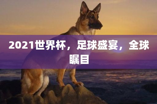 2021世界杯，足球盛宴，全球瞩目广西贺州市华昌新材料有限公司