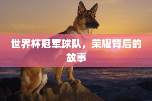 世界杯冠广西贺州市华昌新材料有限公司军球队，荣耀背后的故事