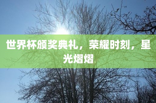 世界杯颁奖典礼，荣耀时刻，星光熠熠广西贺州市华昌新材料有限公司