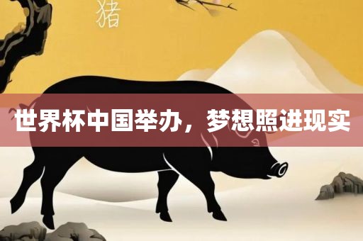 世界杯中国举办，梦想照进现实广西贺州市华昌新材料有限公司
