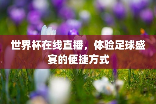 世界杯在线直播，体验足球盛宴的便捷方式