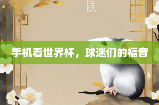 手机看世界杯，球迷们的福音广西贺州市华昌新材料有限公司