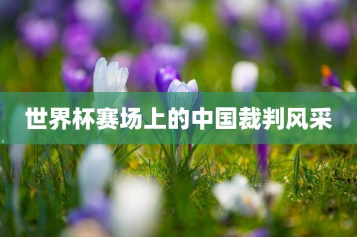 bingwei 第9页
