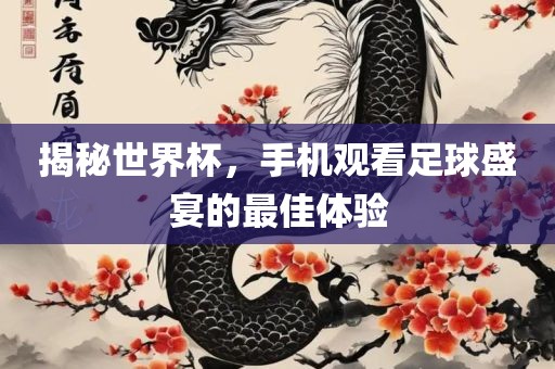 揭秘世界杯，手机观看足球盛宴的最佳体验广西贺州市华昌新材料有限公司