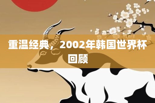 重温经典，2002年韩国世界杯回顾广西贺州市华昌新材料有限公司