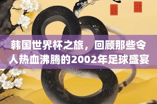 韩国世界杯之旅，回顾那些令人热血沸腾的200广西贺州市华昌新材料有限公司2年足球盛宴