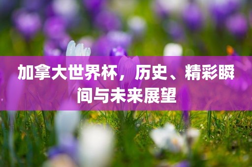 加拿大世界杯，历史、精彩瞬间与未来展望广西贺州市华昌新材料有限公司
