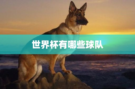世界杯有哪些球队广西贺州市华昌新材料有限公司
