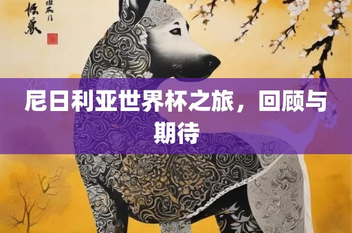 尼日利亚世界杯之旅，回顾与期待广西贺州市华昌新材料有限公司