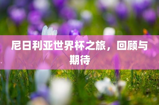 尼日利亚世界杯之旅，回顾与期待广西贺州市华昌新材料有限公司