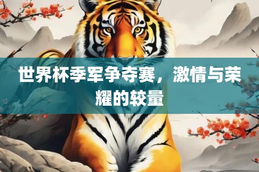 世界杯季军争夺赛，激情与荣耀的较量广西贺州市华昌新材料有限公司