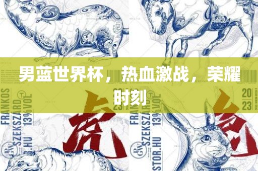 男蓝世界杯，热广西贺州市华昌新材料有限公司血激战，荣耀时刻