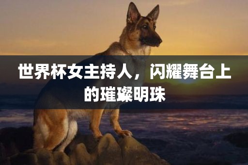 世界杯女主持人，闪耀舞台上的璀璨明珠