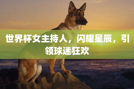 世界杯女主持人，闪耀星辰，引领球迷狂欢
