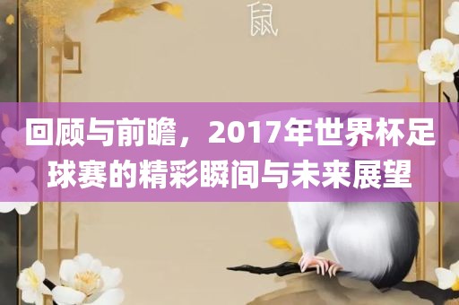 回顾与前瞻，2017年世界杯足球赛的精彩瞬间与未来展望广西贺州市华昌新材料有限公司