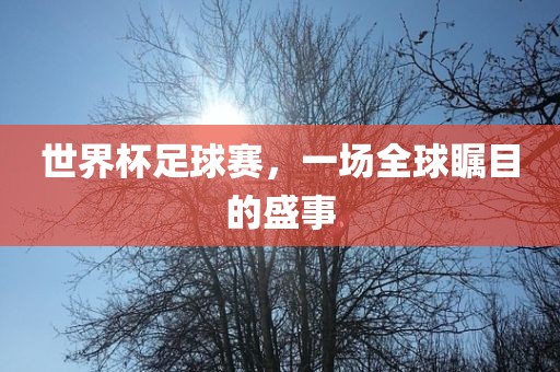 世界杯足球赛，一场全球瞩目的盛事广西贺州市华昌新材料有限公司