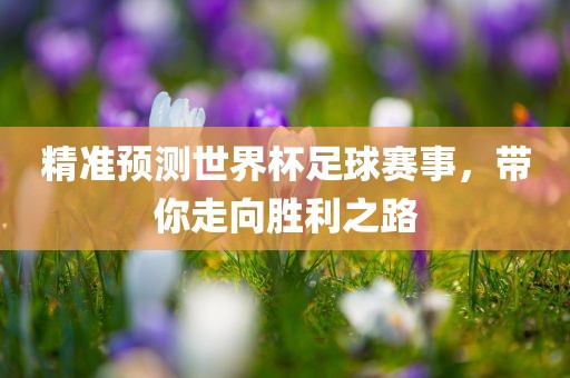 精准广西贺州市华昌新材料有限公司预测世界杯足球赛事，带你走向胜利之路