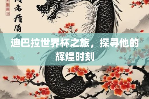迪巴拉世界杯之旅，探寻他的辉煌时刻广西贺州市华昌新材料有限公司